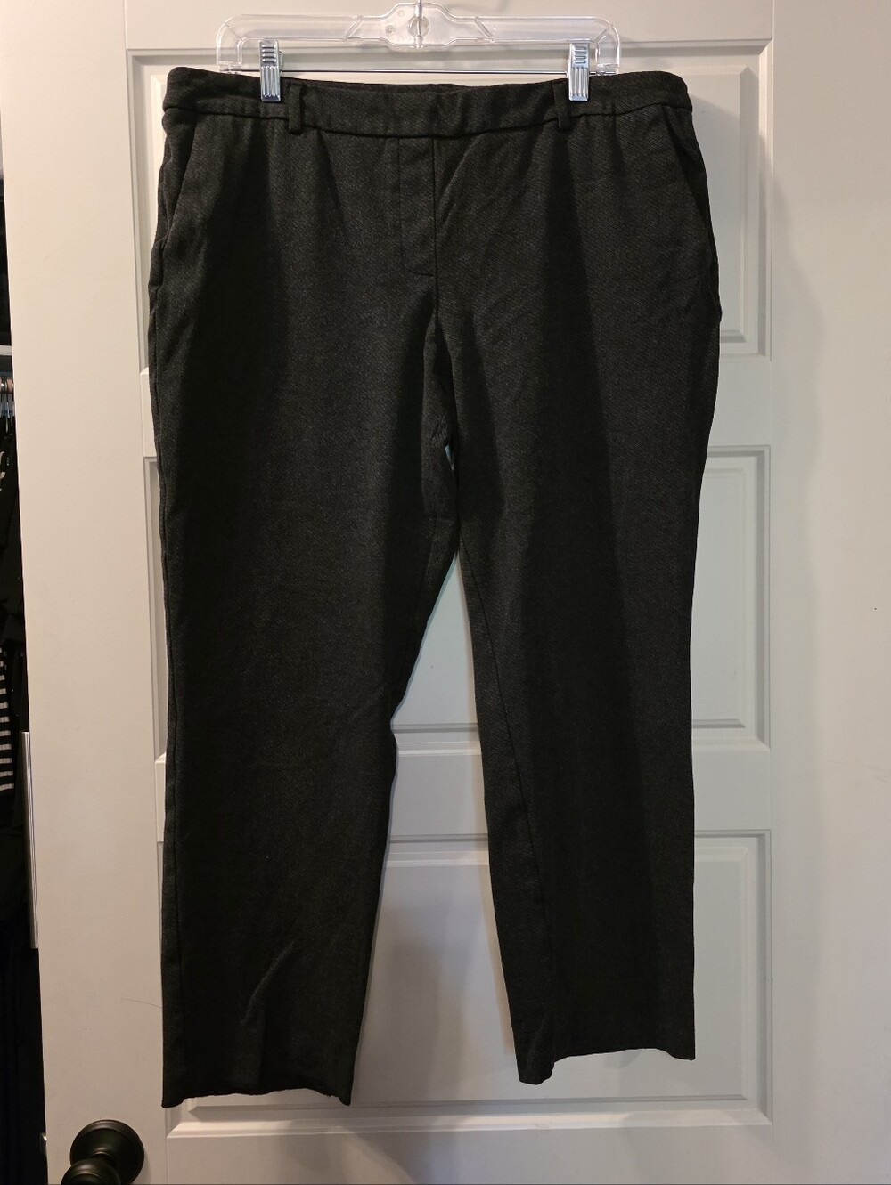 Dalia Cropped Pull On Pants Size XL Dark Gray